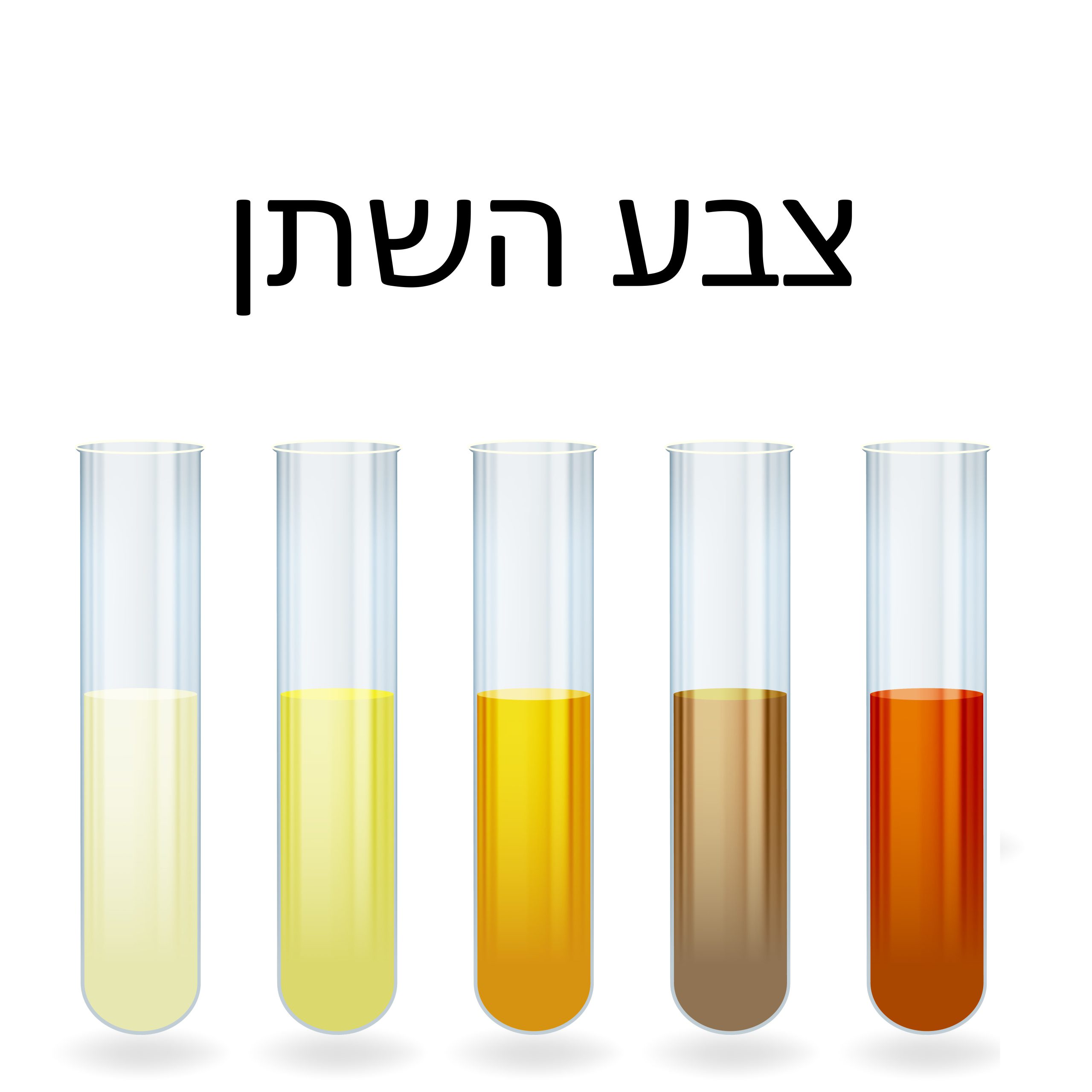 לא רק צהוב: מה הצבע והריח של השתן שלכם אומרים עליכם? - MedPortal